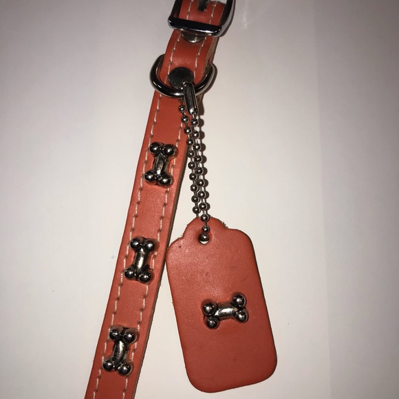 Omnipet Dog Collar Pet Orange Bone 10” Leather Matching Keychain - Picture 10 of 11